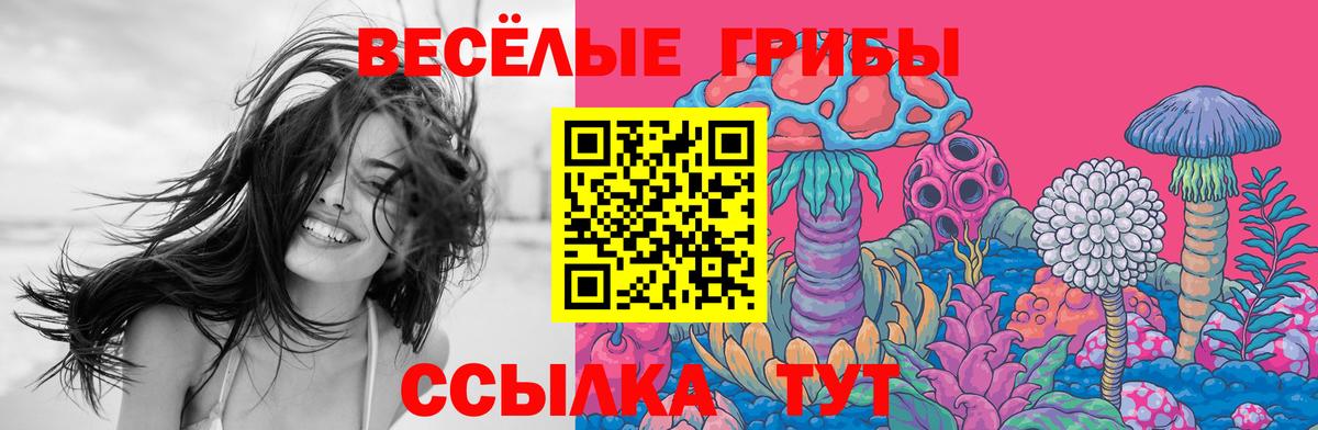 Псилоцибиновые грибы Magic Shrooms Вятские Поляны